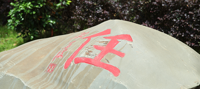 公司环境